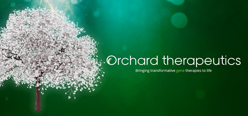 Orchard Therapeutics Gets Approval for Lenmeldy